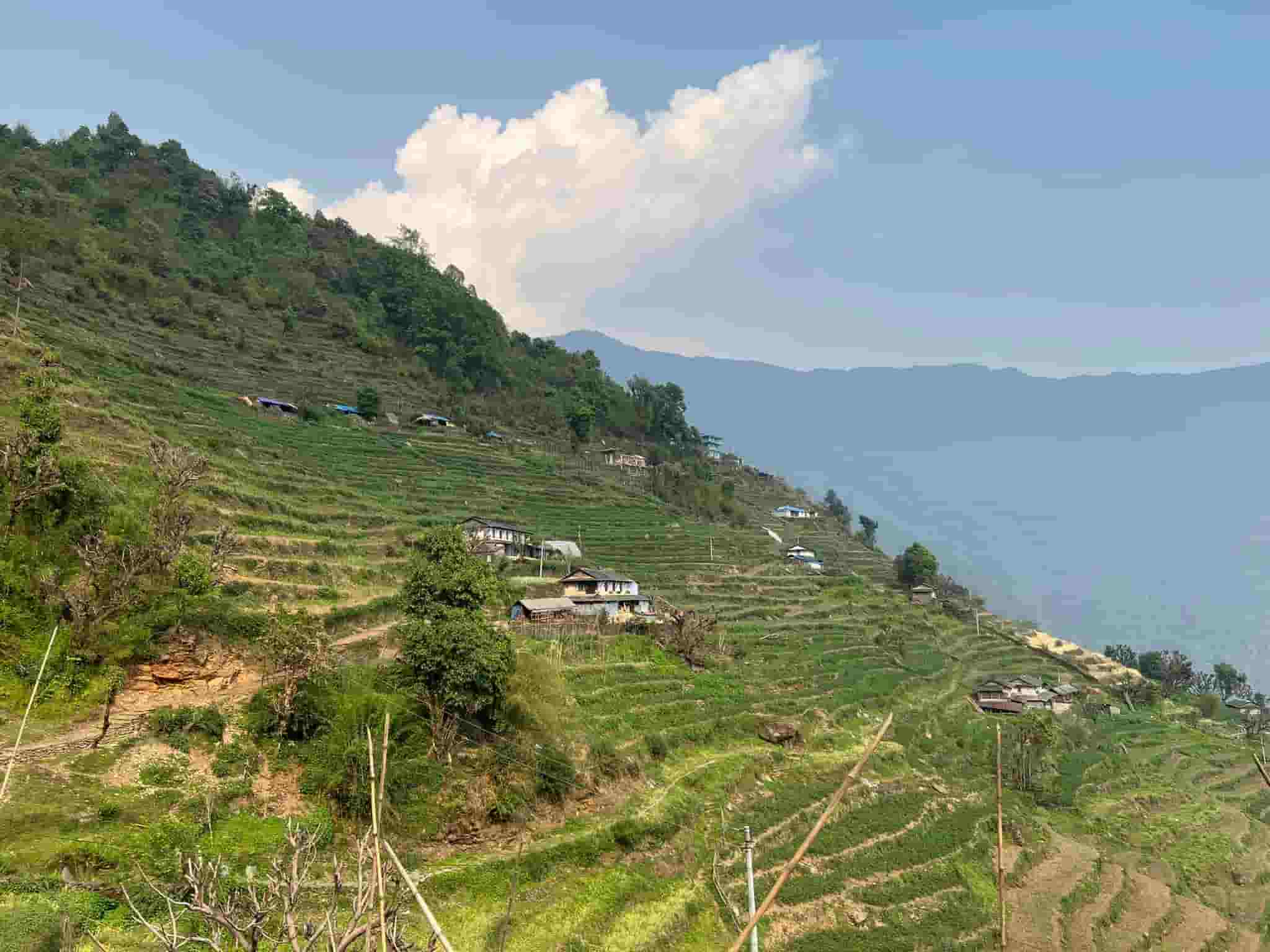 Traditional Nepali Charm: A Glimpse of Jhinu Danda's Heritage